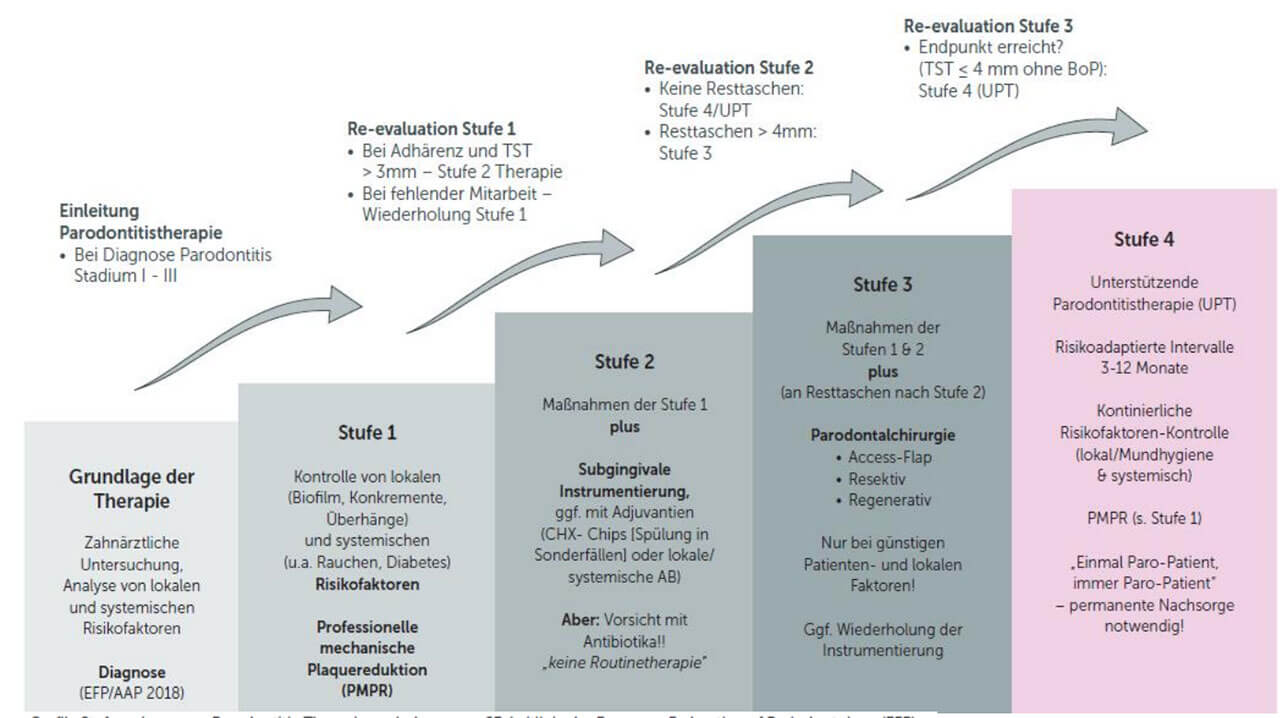 Abb. 2 Mit PerioChip von Therapiestufe 2 in Stufe 4 – unter Überspringen der parodontalchirurgischen Maßnahmen der Stufe 3.