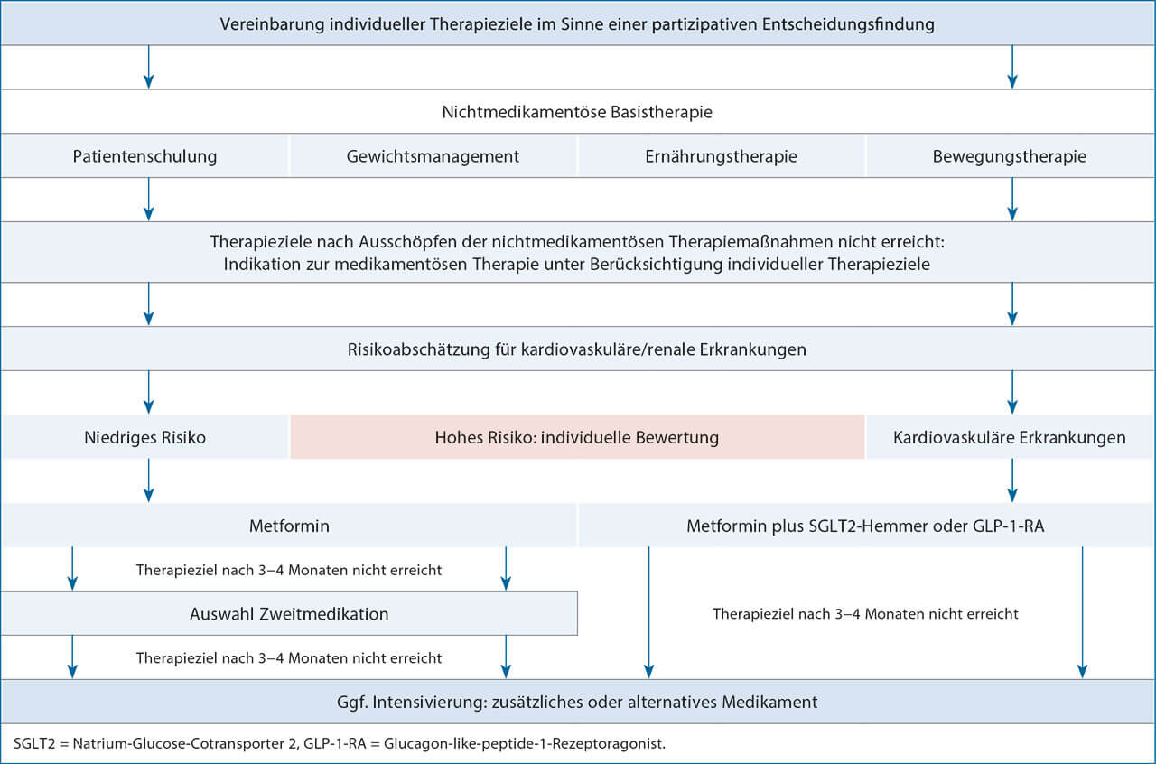 Abb. 1 Schematische Darstellung des Algorithmus der Therapie von Diabetes mellitus Typ 2. (Quelle: modifiziert nach der Nationalen Versorgungsleitlinie [NVL] Typ-2-Diabetes34). 