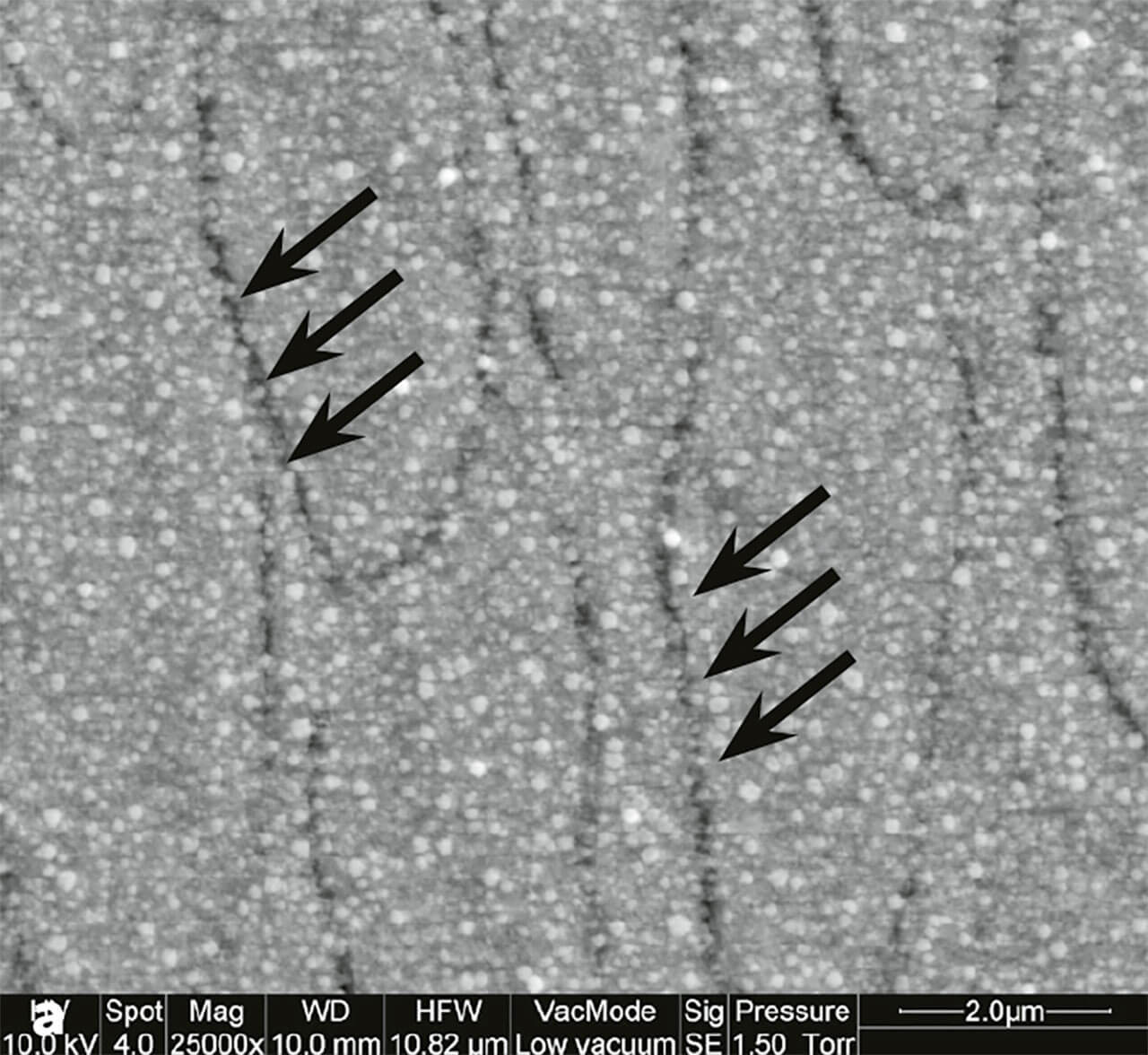 Abb. 1a und b Rasterelektronenmikro­skopische Darstellungen von poliertem Rinderzahnschmelz nach Applikation hochkonzentrierter, saurer Fluoridlösung (10.000 ppm Aminfluorid; a) und ohne Applikation eines Fluoridpräparats (b). Sowohl ohne als auch mit Fluoridappli­kation sind die Prismengrenzen deutlich 
zu erkennen (s. schwarze Pfeile). Nach Fluoridapplikation (a) sind globuläre, Calciumfluorid (CaF2)-artige Präzipitate auf der Oberfläche erkennbar.